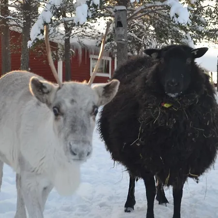 Kelotin Rantamajat Vakantiepark 3*