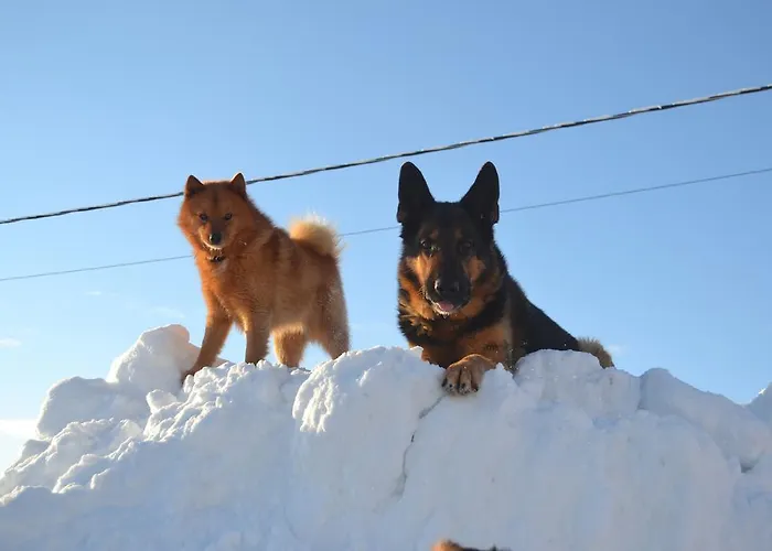 Kelotin Rantamajat Leppäjärvi