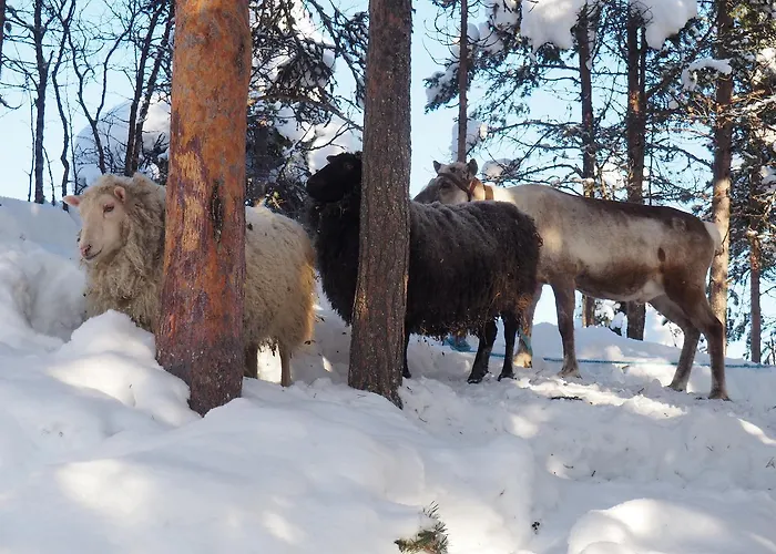 Kelotin Rantamajat 3*