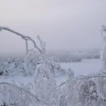 可罗婷瑞塔曼杰特山林小屋