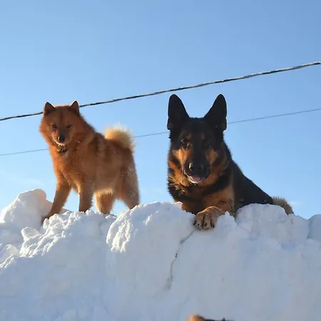 Kelotin Rantamajat Leppäjärvi