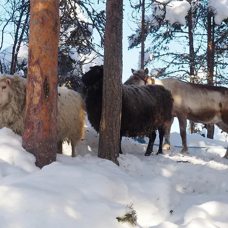 Kelotin Rantamajat 3*